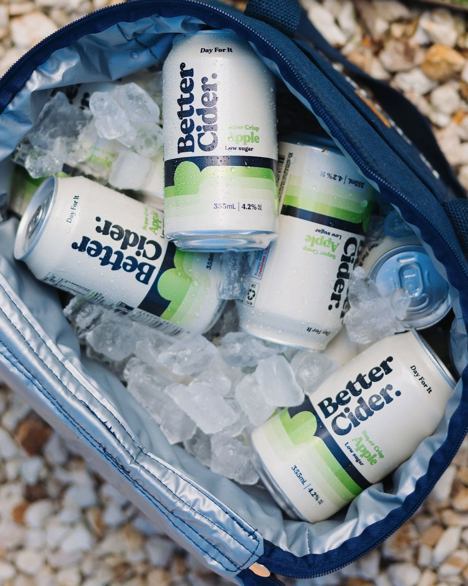 The Soft Cooler Bag - Image 9